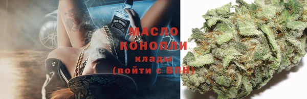 гашик Гусь-Хрустальный
