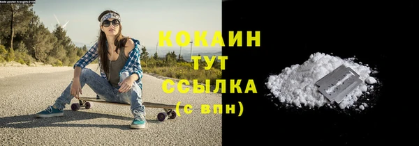 гашик Гусь-Хрустальный