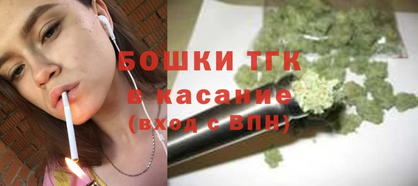 дживик Горнозаводск