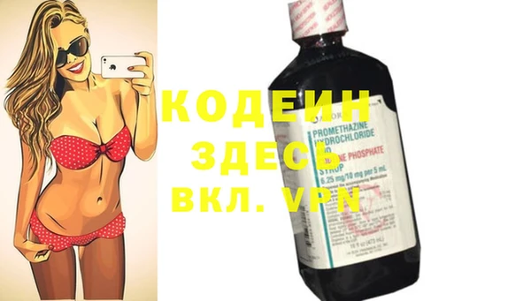 гашик Гусь-Хрустальный