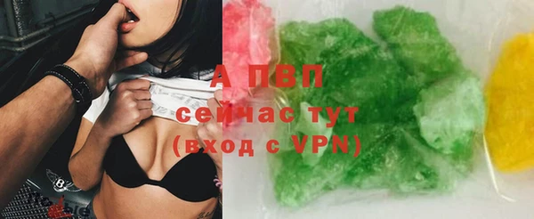 гашик Гусь-Хрустальный