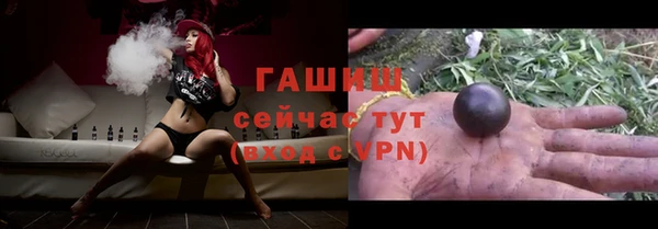 гашик Гусь-Хрустальный