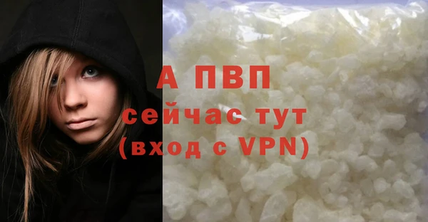 гашик Гусь-Хрустальный
