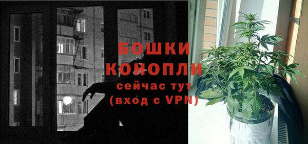 метадон Гусиноозёрск