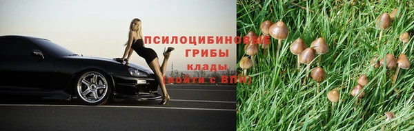 дживик Горнозаводск
